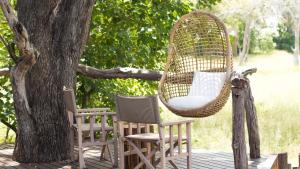 O Bona Moremi Safari Lodge