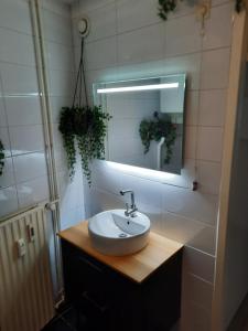 Have a nice stay! - Apartment Duinvos 150m from the beach