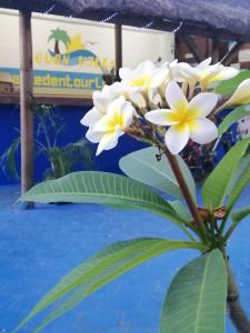 Spacious Villa with Pool and 10 Bedrooms in Quatre Cocos