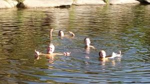 Cabañas La Rustica 6p