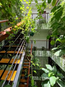 Nicobar Con Dao Hotel