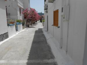 Veroniki Studios Samos Greece