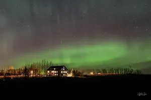 比特拉住宿加早餐旅馆 - 塞尔福斯