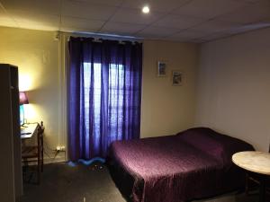Hotels Hotel au Pont d'Anjou : photos des chambres