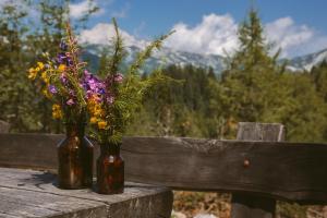 Chalet Orlica Velika Planina