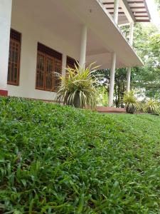 Yonara Green Rest