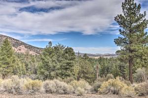 Quiet Big Bear City Cabin with Loft 5 Mi to Village