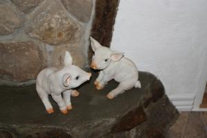 Farmer Apartment Ravning