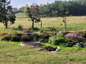 B&B / Chambres d'hotes Ferme de la Combe - The Goldy's Farm : photos des chambres