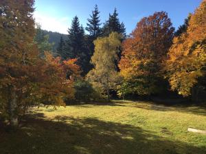 Appartements Lo Cantales d’Aubrac : photos des chambres