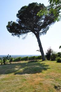 Maisons de vacances CLOS SAINT SAUVEUR - guesthouse au coeur des vignes sur le coteau : photos des chambres