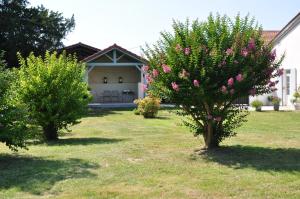 Maisons de vacances CLOS SAINT SAUVEUR - guesthouse au coeur des vignes sur le coteau : photos des chambres