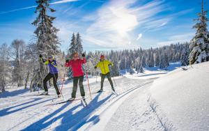 B&B / Chambres d'hotes Gite avec terrasse et belle vue - ChaletNelda com : photos des chambres