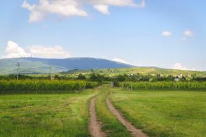 Dominium Pincészet és Panzió