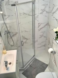Hotel, Apartament Pod Złotym Lwem w samym centrum miasta z DARMOWYM parkingiem VII