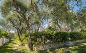 Ferienwohnung ulivo mit Pool und Privatstrand