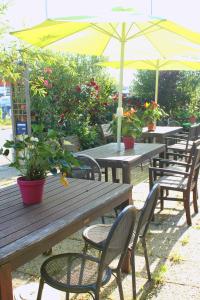 L'Oasis Bretonne photo 24