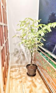 High Island Homestay