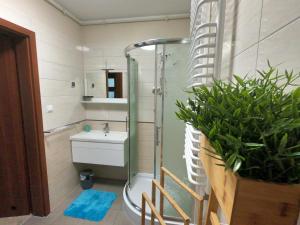 SnowApart w Villi Avangarda