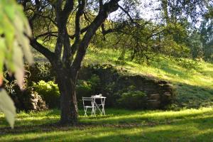 B&B / Chambres d'hotes Le Domaine de Moroges : photos des chambres