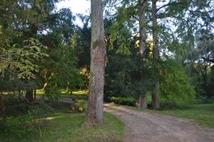 B&B / Chambres d'hotes Le Domaine de Moroges : photos des chambres