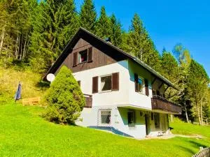 Wildbach Chalet Turrach - Kaiser