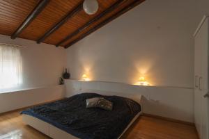 Apartment Petra Pekica