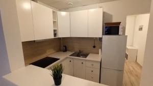 Triada apartament near the park and river Daugava