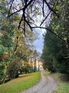 B&B / Chambres d'hotes Le Domaine de Moroges : photos des chambres