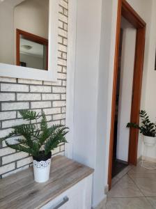 Cozy apartment in Split in nice quiet neighborhood
