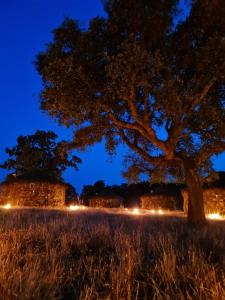 Chozos Las Flores de la Dehesa