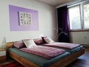 Ubytování Velké Losiny - U PAPÍRNY - Theresienthal