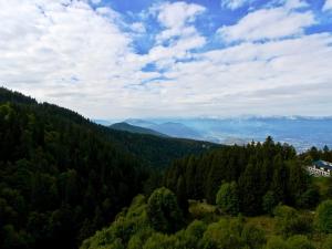 Appartements Studio Chamrousse, 1 piece, 4 personnes - FR-1-340-50 : photos des chambres