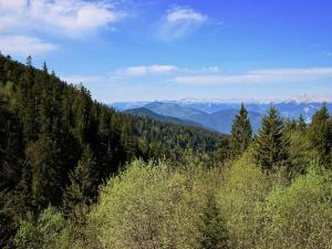 Appartements Studio Chamrousse, 1 piece, 4 personnes - FR-1-340-45 : photos des chambres