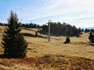 Appartements Studio Chamrousse, 1 piece, 3 personnes - FR-1-340-109 : photos des chambres