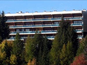 Appartements Studio Chamrousse, 1 piece, 4 personnes - FR-1-340-132 : photos des chambres