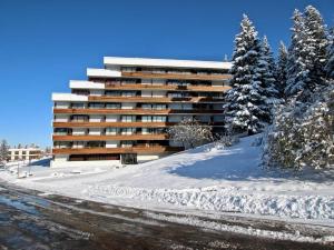 Appartements Studio Chamrousse, 1 piece, 4 personnes - FR-1-340-214 : photos des chambres