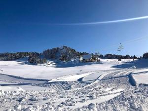 Appartements Studio Chamrousse, 1 piece, 4 personnes - FR-1-340-214 : photos des chambres