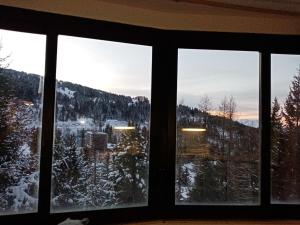 Appartements Studio Chamrousse, 1 piece, 4 personnes - FR-1-340-218 : photos des chambres