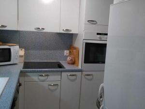 Appartement 41m² 2 P+C avec Loggia au Pied des Pistes - FR-1-549-54