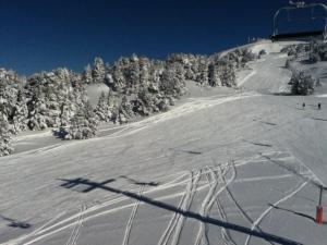 Appartements Studio Chamrousse, 1 piece, 4 personnes - FR-1-340-226 : photos des chambres