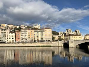 Nest in heart of Lyon