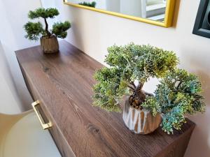 Apartament SX26 PL