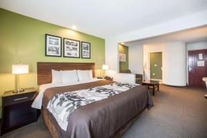 King Suite - Non-Smoking room in Sleep Inn Decatur I-72