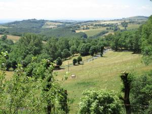 B&B / Chambres d'hotes Chateau du Puech : photos des chambres