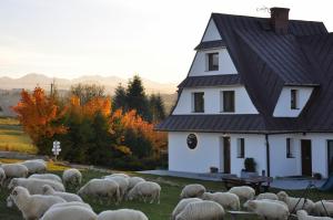 TATRY NA WYPASIE