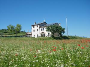 Talu Bed & Breakfast Le Coste Lazise Itaalia