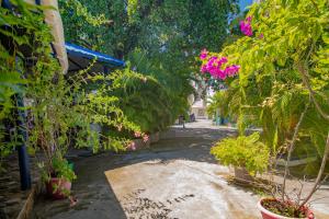 Alojamiento San Martín