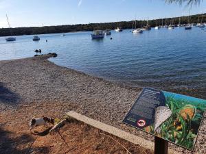 Apartment in Banjole - Istrien 41929