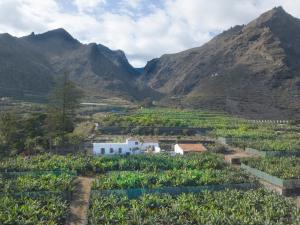 Hacienda Camino de La Cruzada